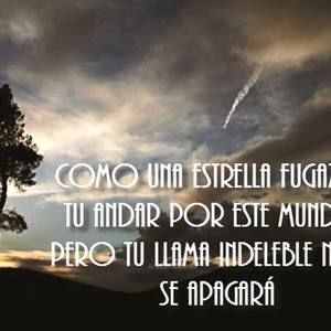 Meet your Posher, Maria jose